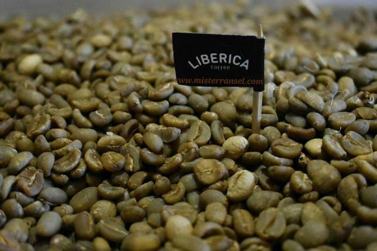 đặc điểm của cà phê xay rang liberica

